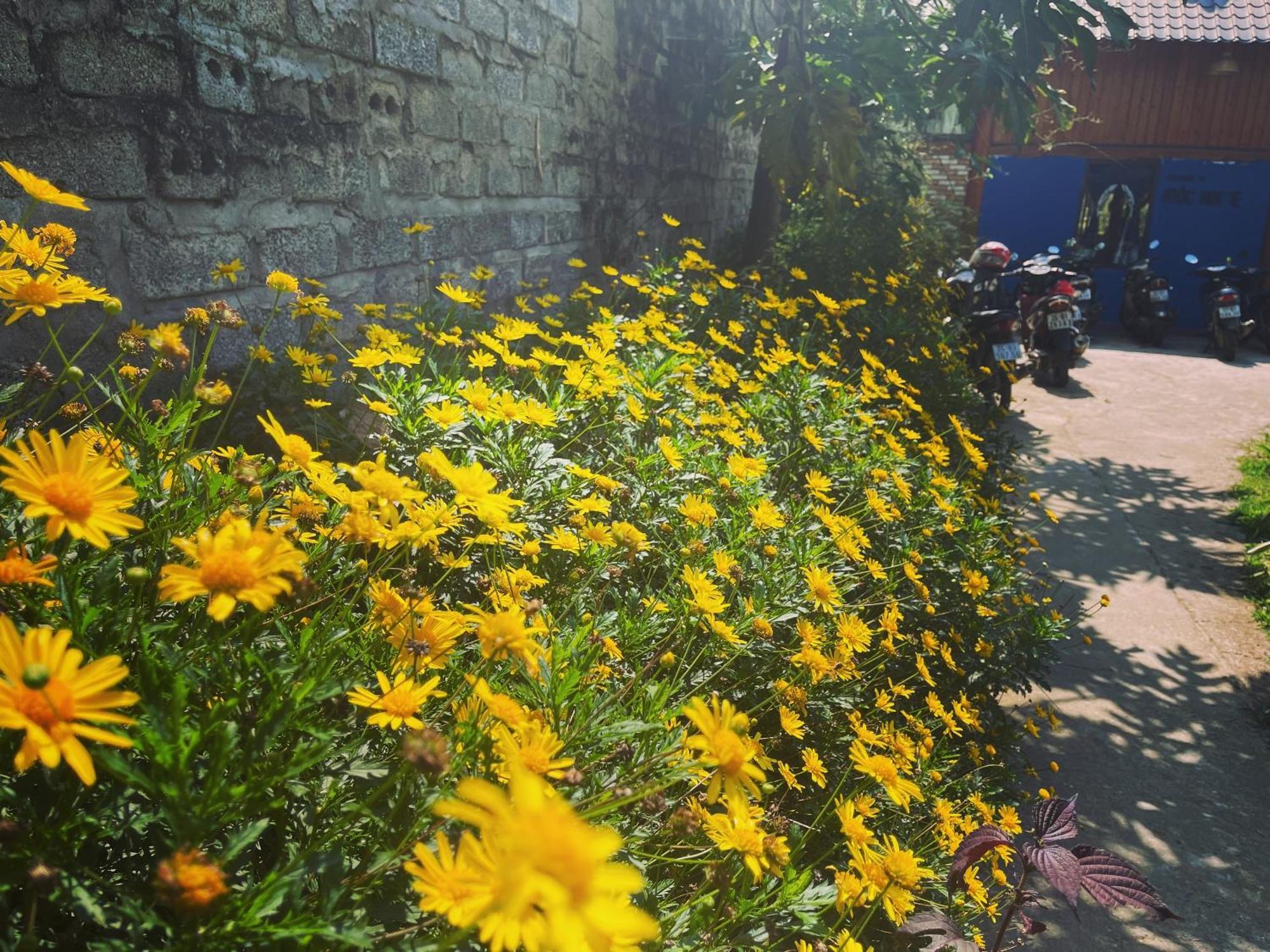 Moc Home Sapa ภายนอก รูปภาพ